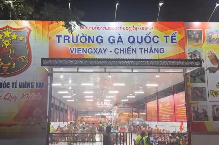 Đại án 'Trường gà quốc tế Viêng Xay': 1.200 tỷ đồng và mạng lưới 196 bị can