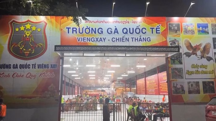 Bóc gỡ đường dây đánh bạc xuyên quốc gia với số tiền giao dịch hơn 1.200 tỷ đồng. Ảnh: Bộ Công an.