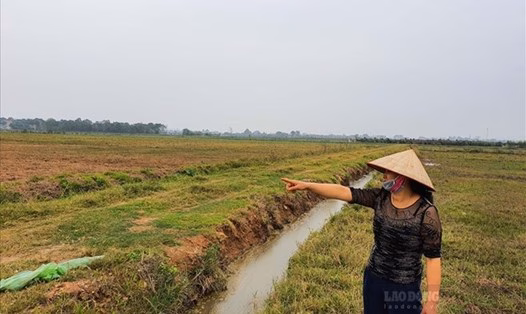 Việc chuyển mục đích sử dụng đất phải căn cứ vào quy hoạch, kế hoạch sử dụng đất đã được phê duyệt. Ảnh: Phan Anh